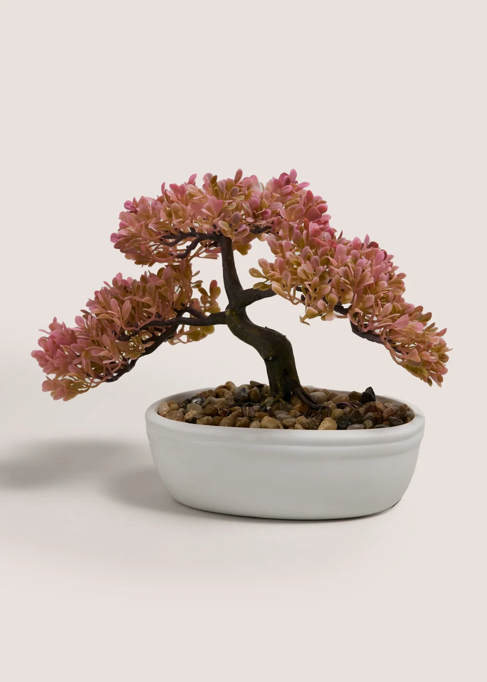 Peach Bonsai Image 1