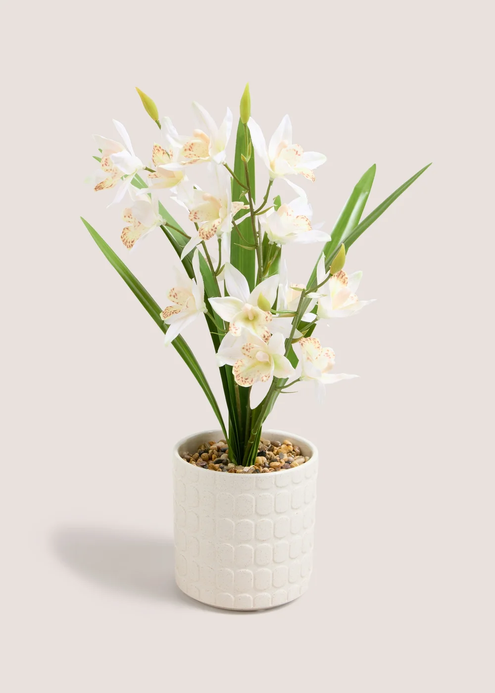 Cream Flowers In Cream Pot Image 1