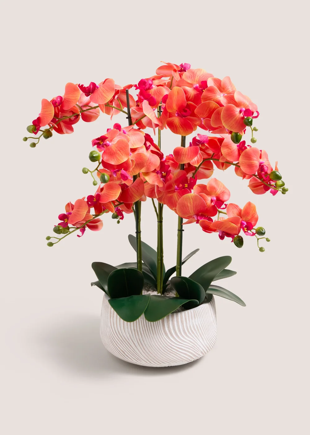 Orange Orchid In Ceramic Pot Image 1
