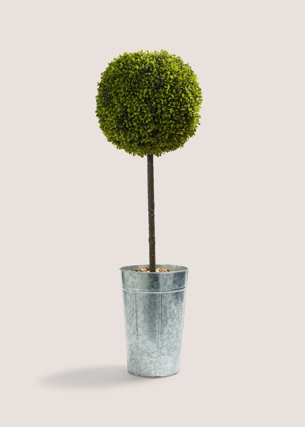 Ball Topiary Image 1
