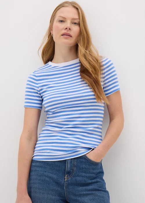 Blue Stripe Fitted T-Shirt - 8 Image 1
