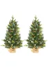 HOMCOM 2 Pieces 3' Prelit Artificial Tabletop Christmas Trees, LED Display - M Image 1