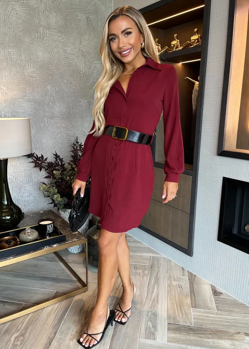 AX Paris Wine Button Front Belted Shirt Mini Dress - 8 Image 1