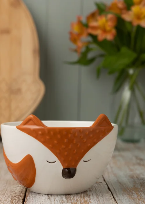 Price & Kensington Woodland Fox Bowl - One Size Image 2