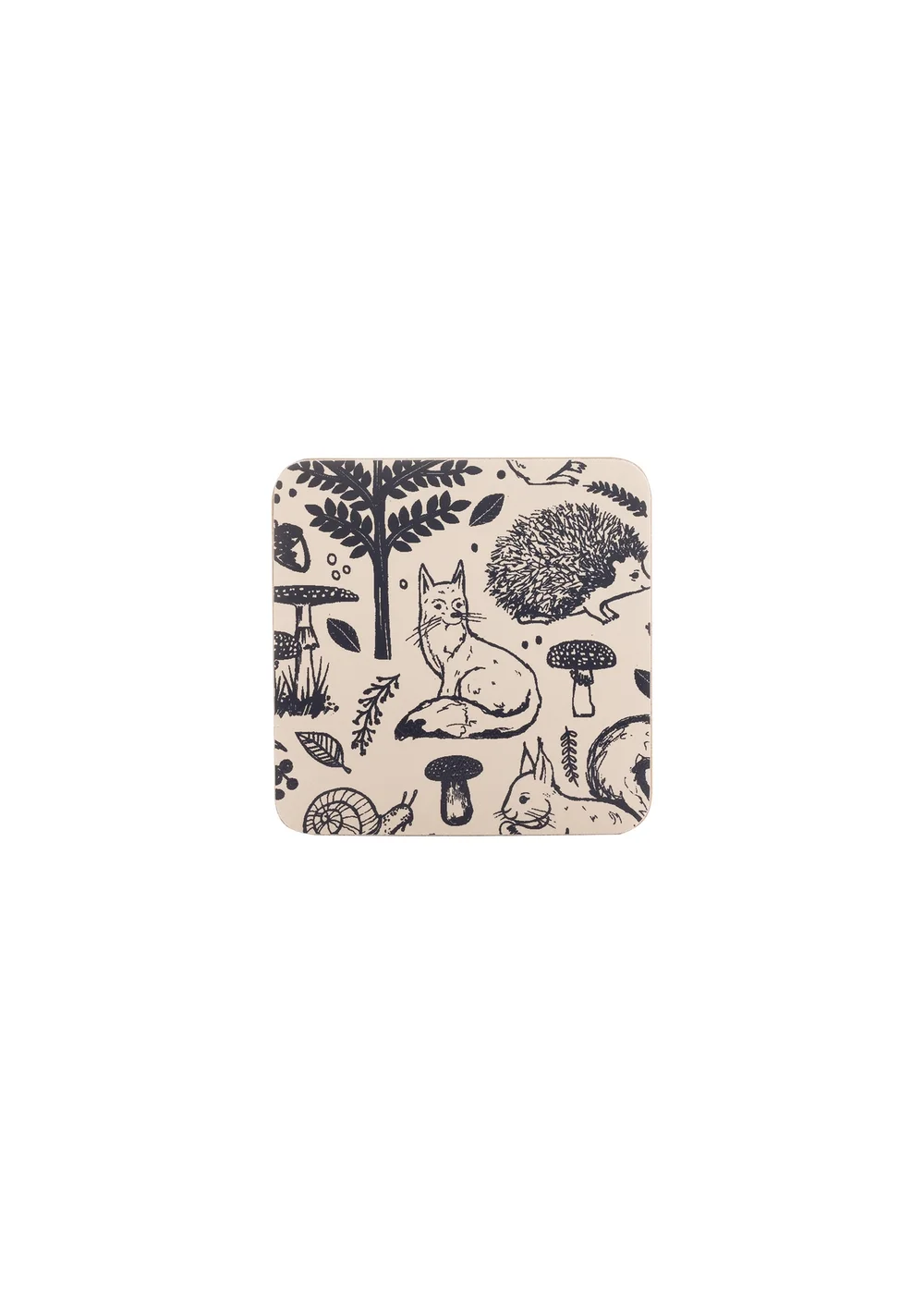 Price & Kensington Woodland 8 Piece Placemat and Coaster Set - One Size Image 5
