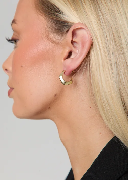 Madein Gold Earring Set - One Size Image 1