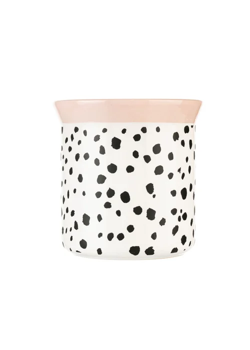 Eleanor Bowmer Dalmation Herb Pots Set of 3 - One Size Image 3