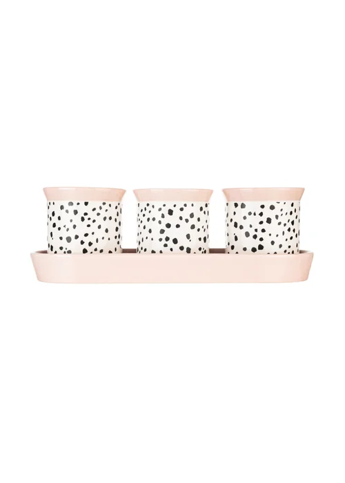 Eleanor Bowmer Dalmation Herb Pots Set of 3 - One Size Image 2