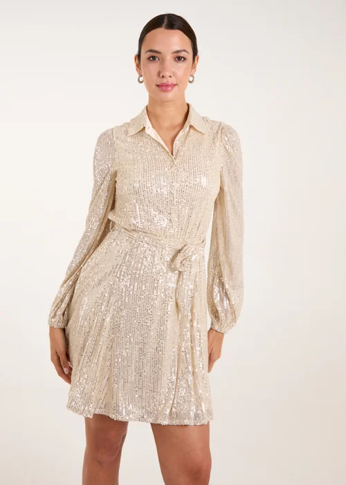 Blue Vanilla Champagne Sequin Shirt Dress - 8 Image 3