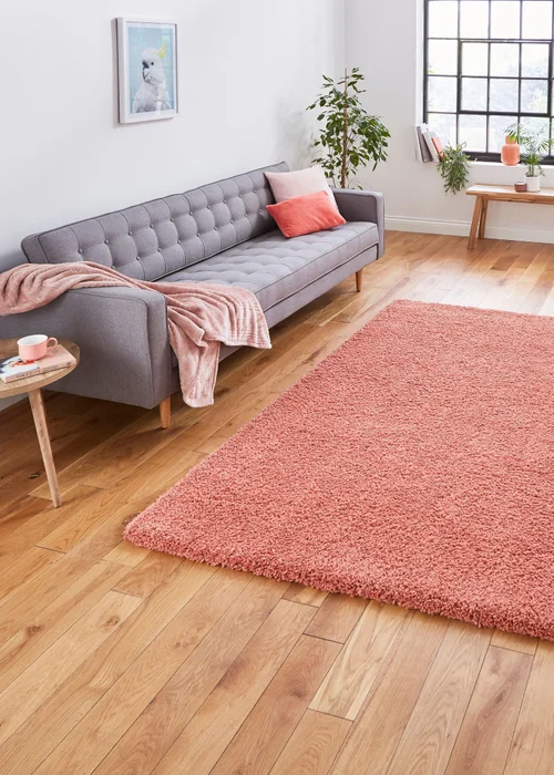 Think Rugs Sierra Peach Plain Shaggy Rectangle Rug - 80 x 150 Image 1