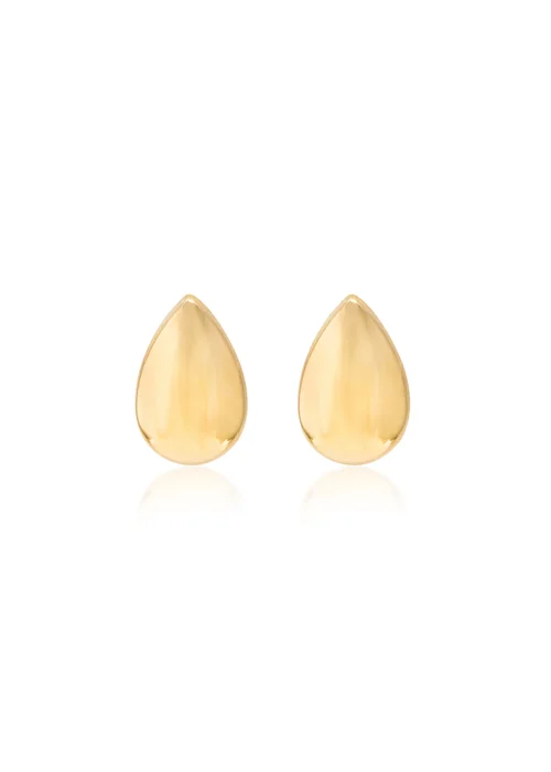 Golden Moments 9ct Mini Teardrop Earrings - One Size Image 1