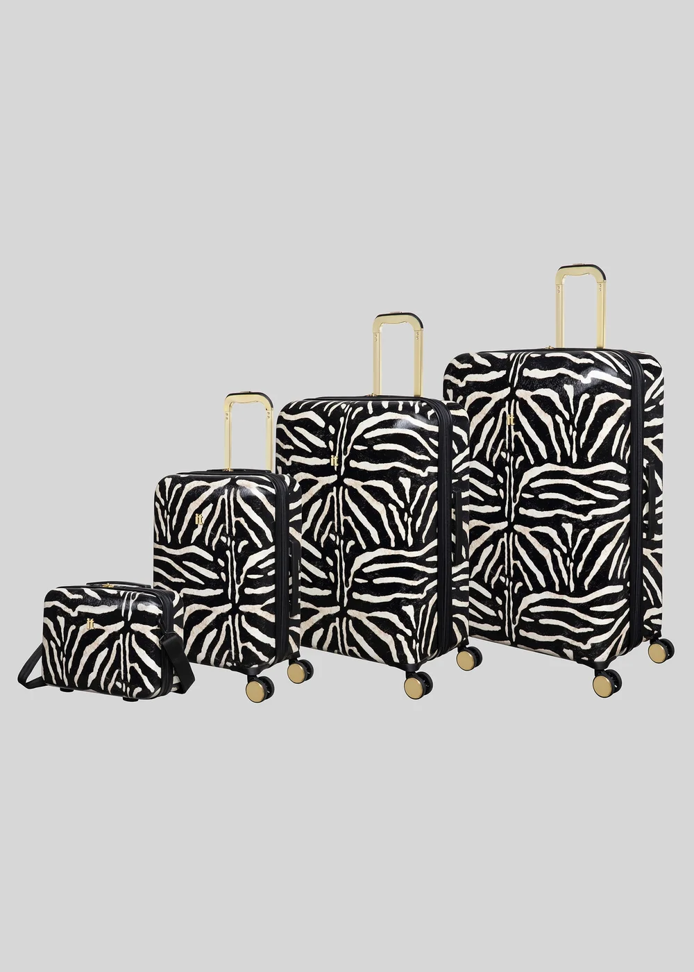 IT Luggage Sheen Zebra Hardshell Suitcase - VANITY Image 1