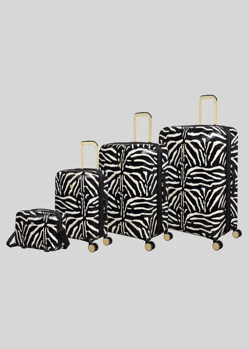 IT Luggage Sheen Zebra Hardshell Suitcase - VANITY Image 1