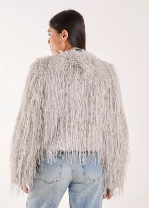 Blue Vanilla Silver Shaggy Faux Fur Cropped Jacket - Small Image 2