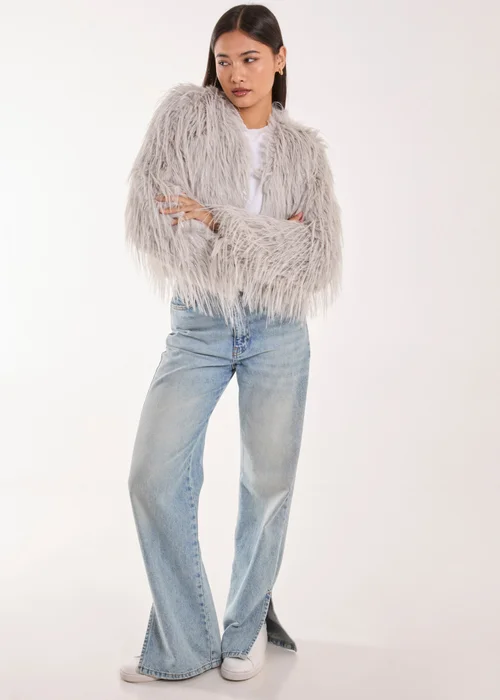 Blue Vanilla Silver Shaggy Faux Fur Cropped Jacket - Small Image 4