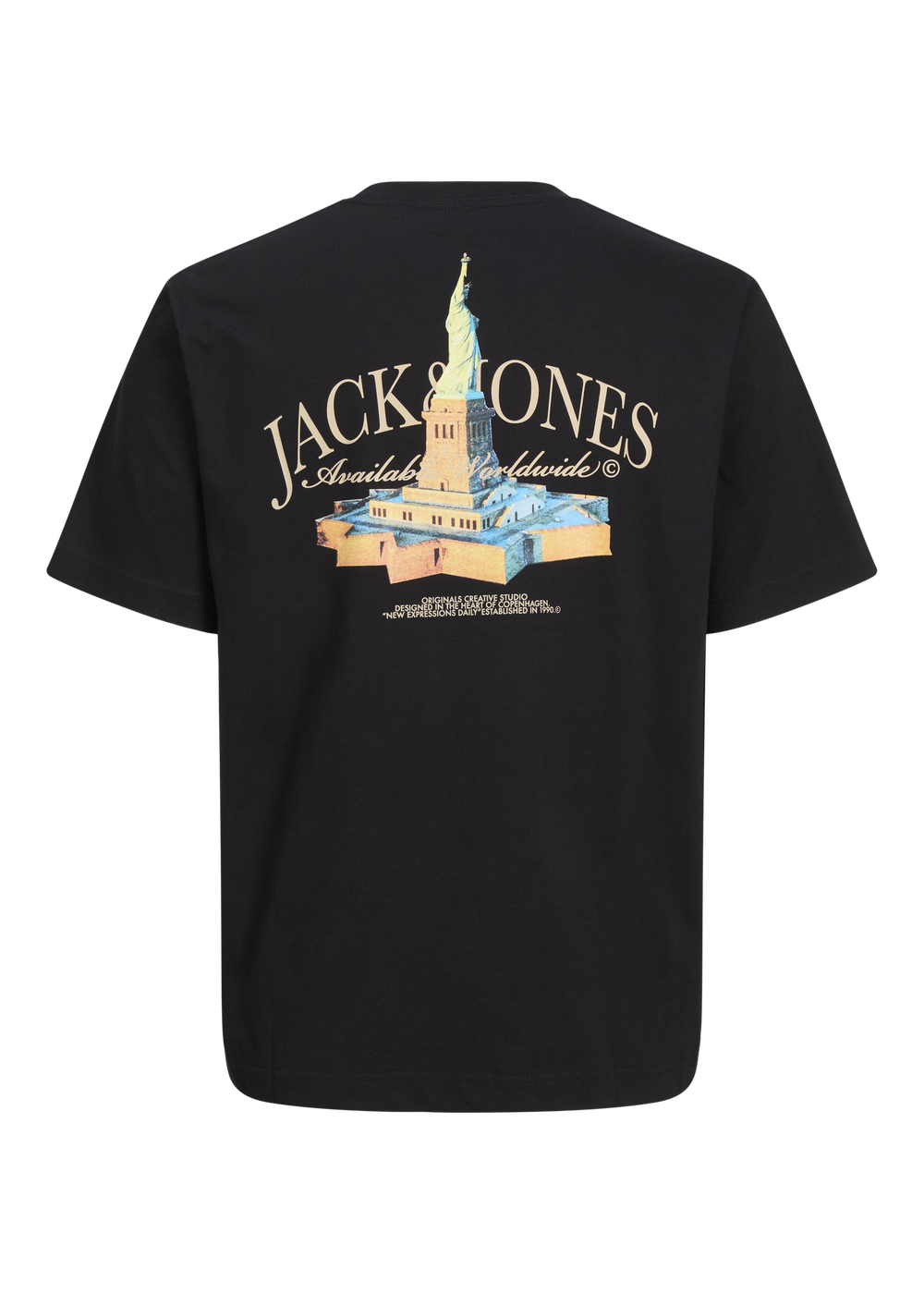 Jack & Jones Boys Black Boston T-Shirt (8-16yrs) - 8 Yrs Image 2