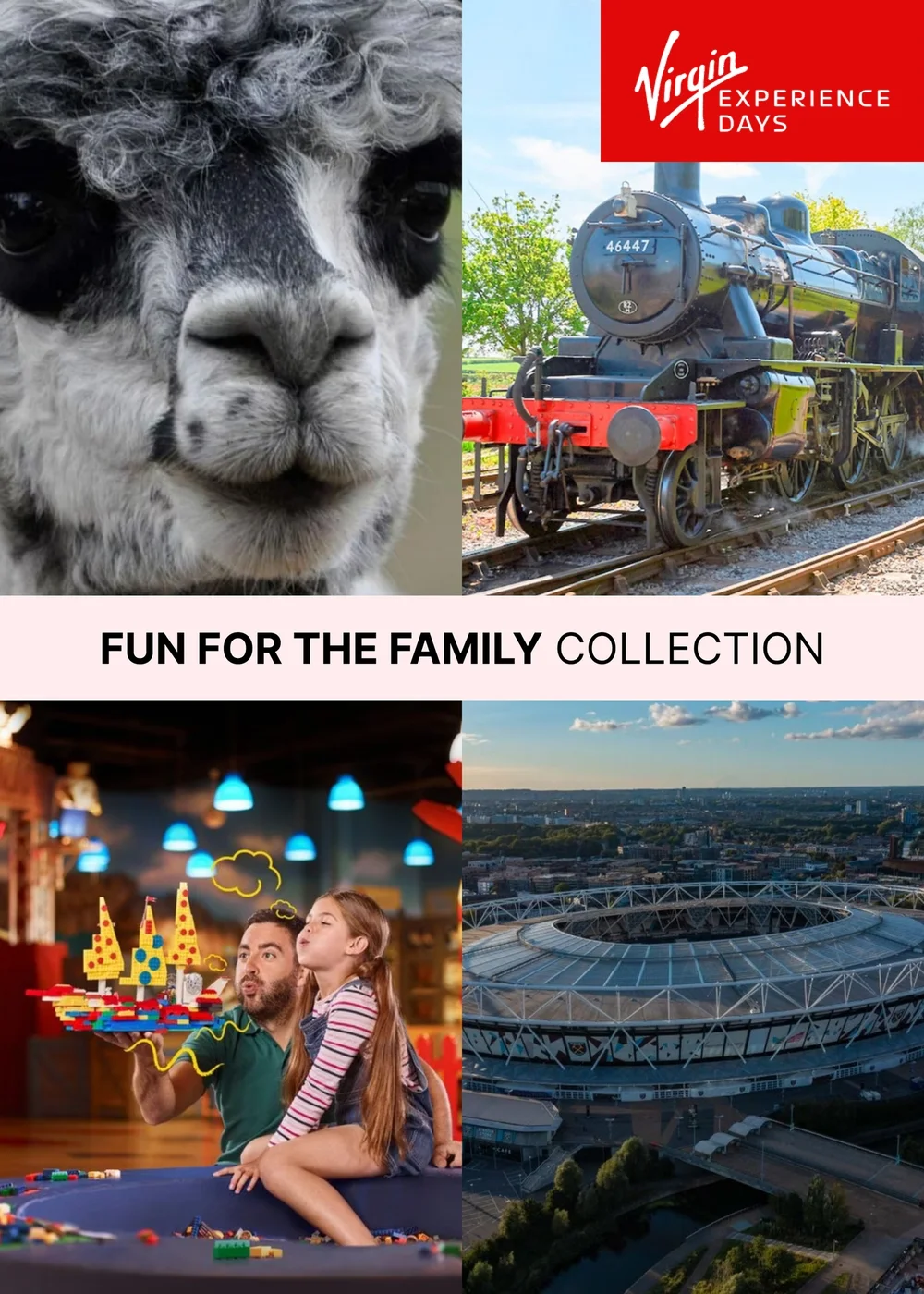 Virgin Experience Days Fun for the Family Collection - One Size Image 1