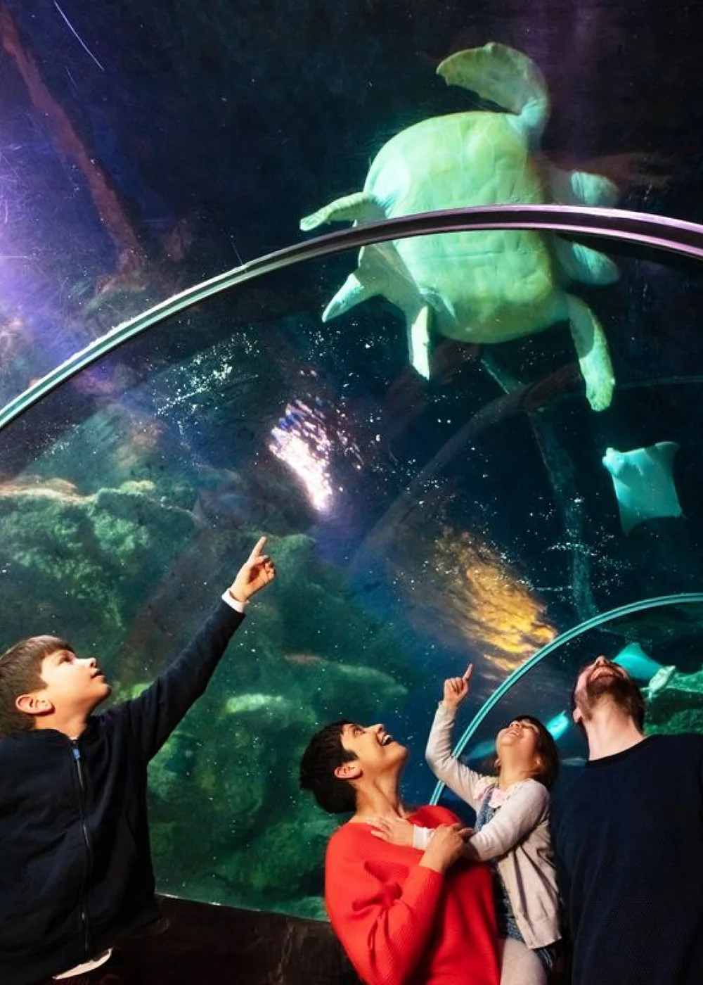 Virgin Experience Days Epic Family Adventure Collection - One Size Image 2