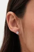 Jon Richard Rhodium Plated Cubic Zirconia Round Stud Earrings - One Size Image 2