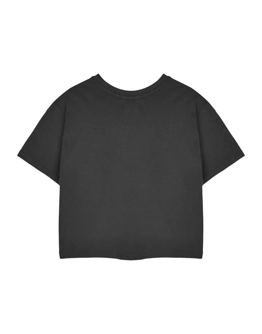 Pusheen Grey Yum Noodles Cropped Short Sleeved T-Shirt - Small Image 2