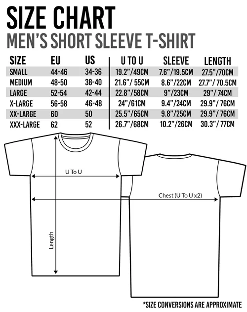 NFL Grey Seattle Seahawks Short Sleeved T-Shirt - S Image 6