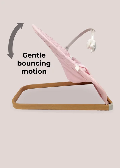 My Babiie Pink Plaid Baby Bouncer - One Size Image 5