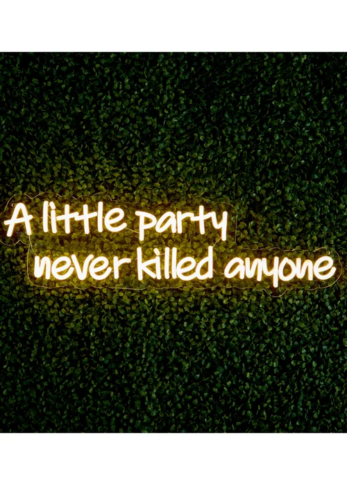 Premier Decorations LED Neon A Little Party Never Killed Anyone Wall Sign - One Size Image 1