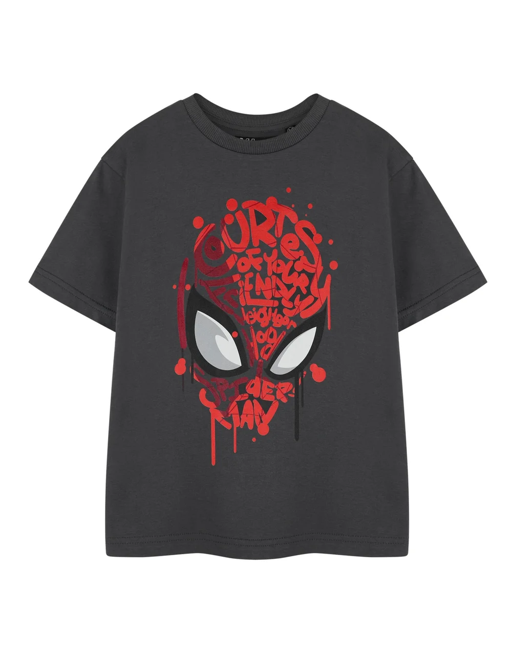 Vanilla Underground Spiderman Friendly Neighbourhood Kids Charcoal T-Shirt (2-14 Years) - 13-14 Yrs Image 1