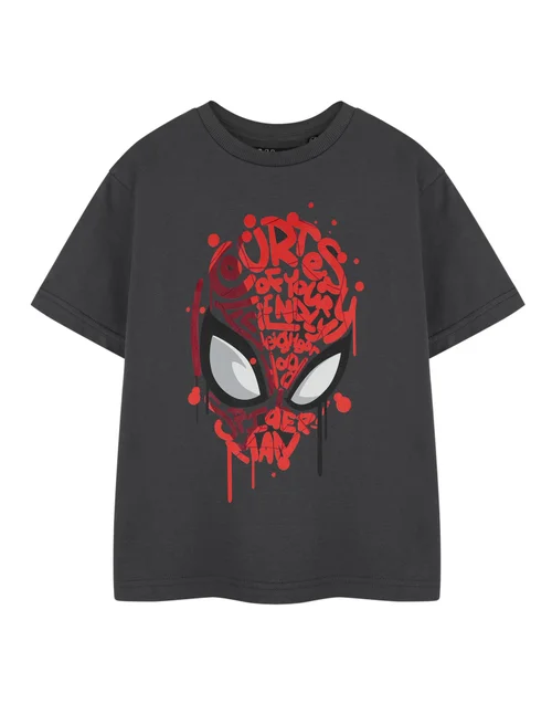 Vanilla Underground Spiderman Friendly Neighbourhood Kids Charcoal T-Shirt (2-14 Years) - 13-14 Yrs Image 1