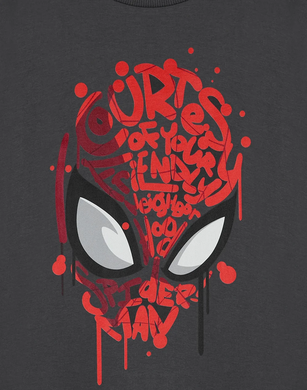 Vanilla Underground Spiderman Friendly Neighbourhood Kids Charcoal T-Shirt (2-14 Years) - 13-14 Yrs Image 6