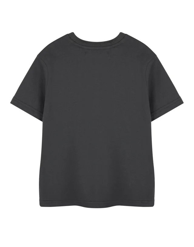 Vanilla Underground Spiderman Friendly Neighbourhood Kids Charcoal T-Shirt (2-14 Years)