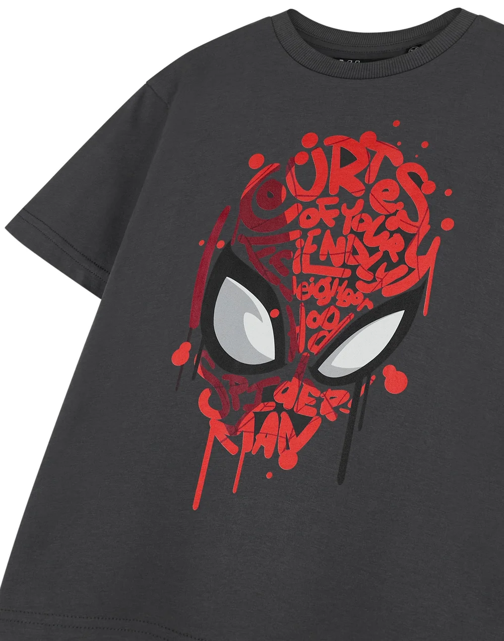 Vanilla Underground Spiderman Friendly Neighbourhood Kids Charcoal T-Shirt (2-14 Years) - 13-14 Yrs Image 5