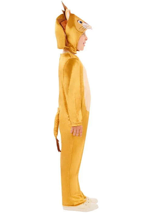 Rubies MultiColour Lion Costume (3-8 Years) - XXS Image 3