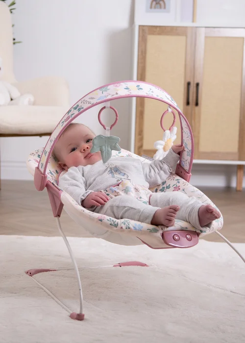 Red Kite Cozy Bounce Rose & Ivy Bounce Chair - One Size Image 5