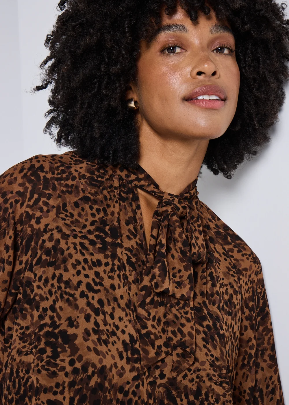 Brown Animal Print Tie Neck Mini Dress - 8 Image 2