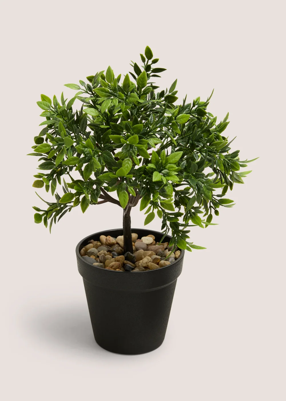Mini Rose Tree Image 1
