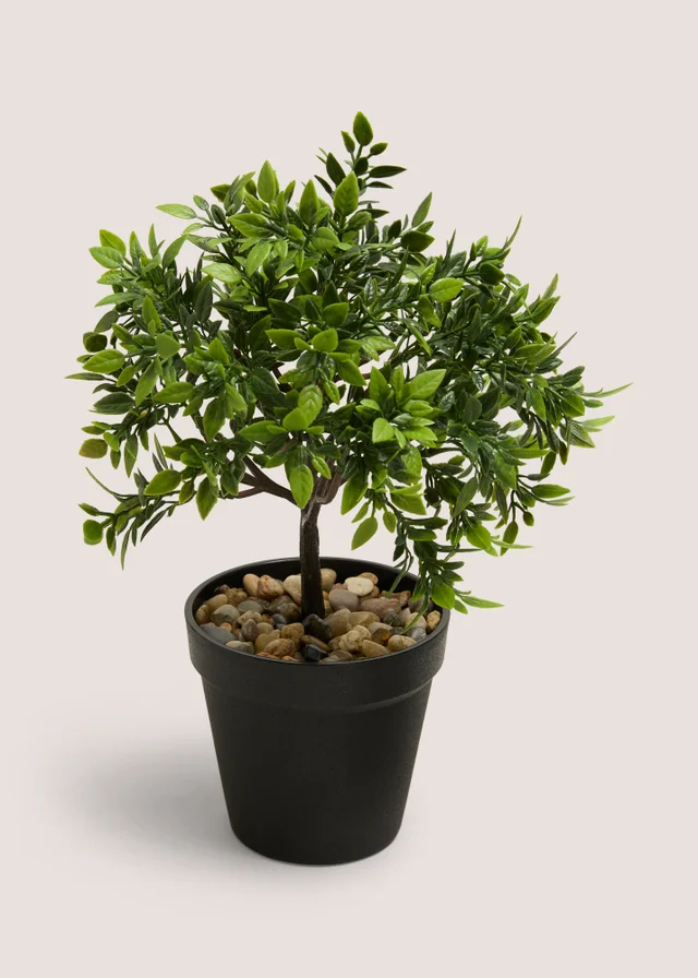 Mini Rose Tree