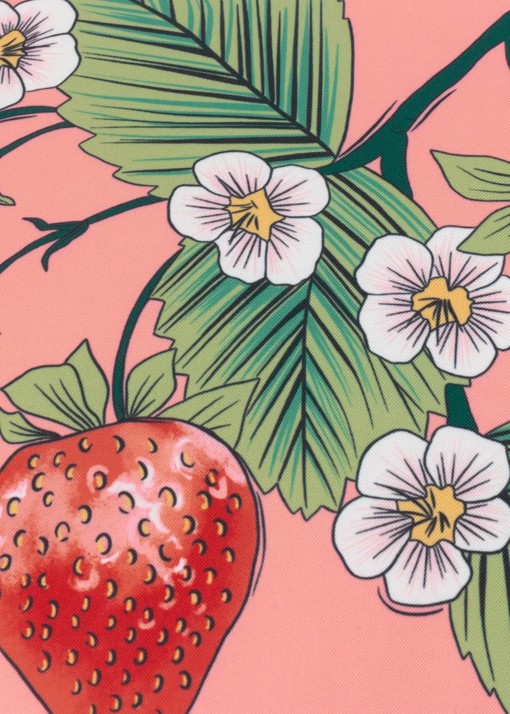 furn. Anemone Strawberries Printed Outdoor Outdoor Cushion - One Size Image 5