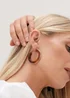 Mood Gold Tort Resin & Polished Large Hoops - One Size Image 2