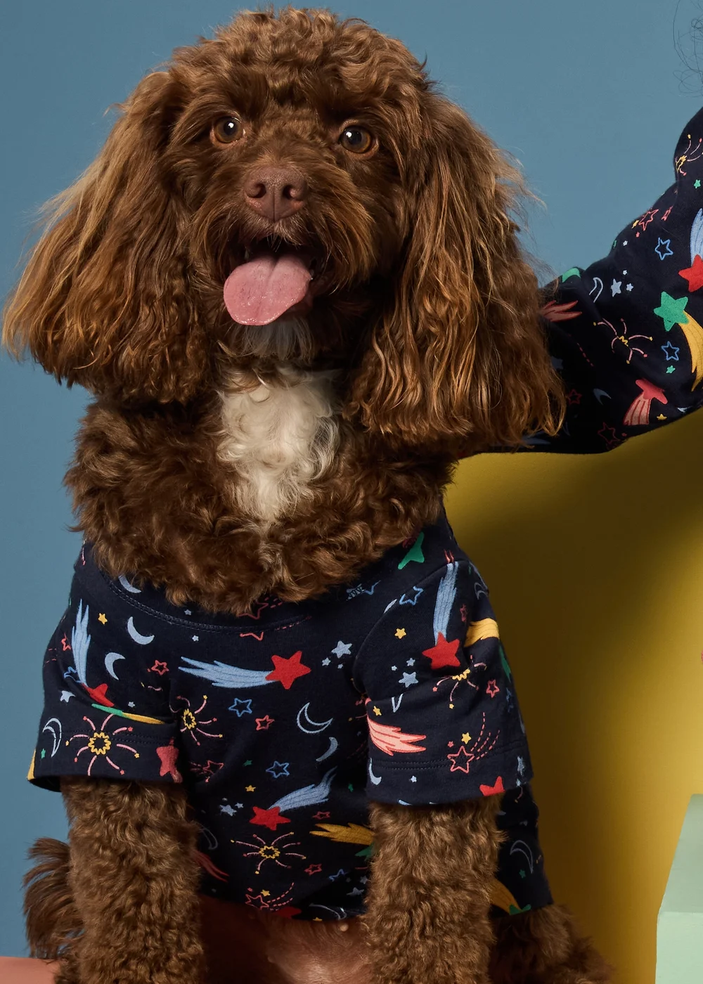 Alder Hey Navy Pet Pyjamas - Small Image 1