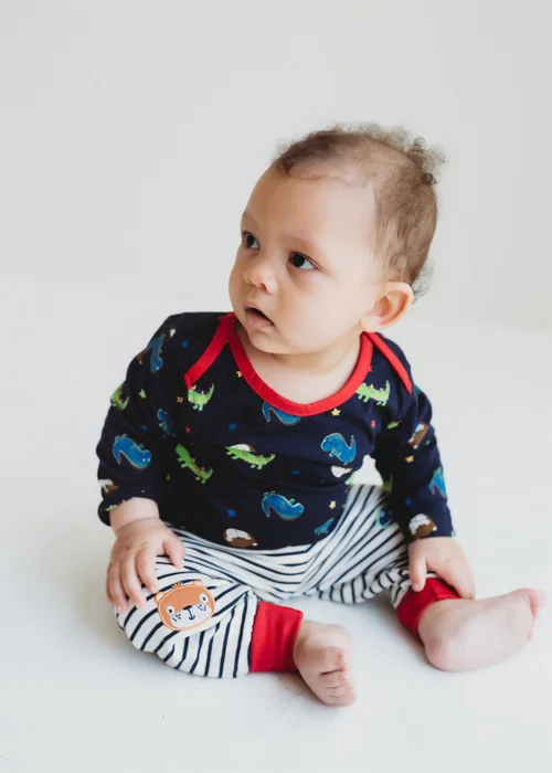 Lilly & Sid Multicoloured Dinosaur Print Top & Jogger Set (0- 24 Months) - 0-3 months Image 1