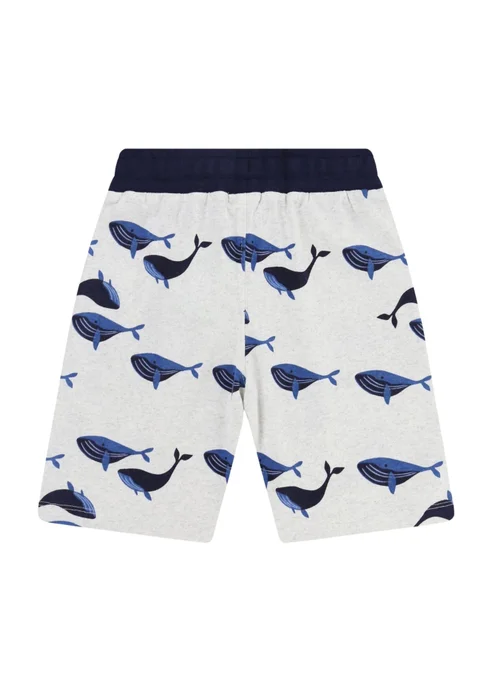 Lilly & Sid Multi Coloured Whale Print Shorts (0-8 Years) - 0-3 months Image 2