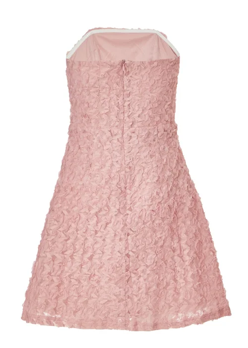 quiz pink floral dress Pink Quiz Mesh Floral Print Midaxi Dress