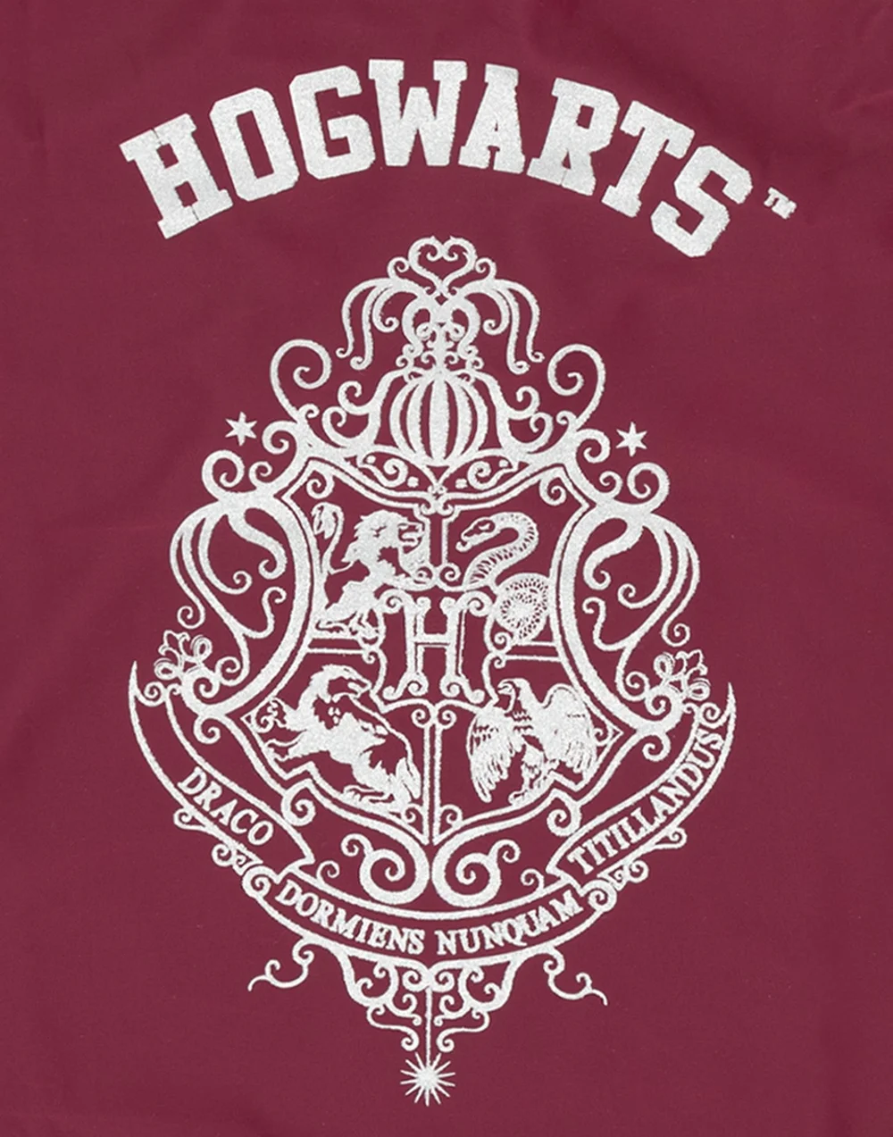 Harry Potter Hogwarts Kids Burgundy 1 Piece Swimsuit (5-14 Years) - Age 12-13 Years Image 3