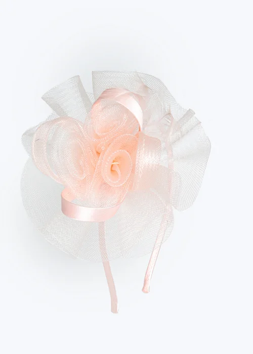 Muse Blush Loop Fascinator Headband - One Size Image 1