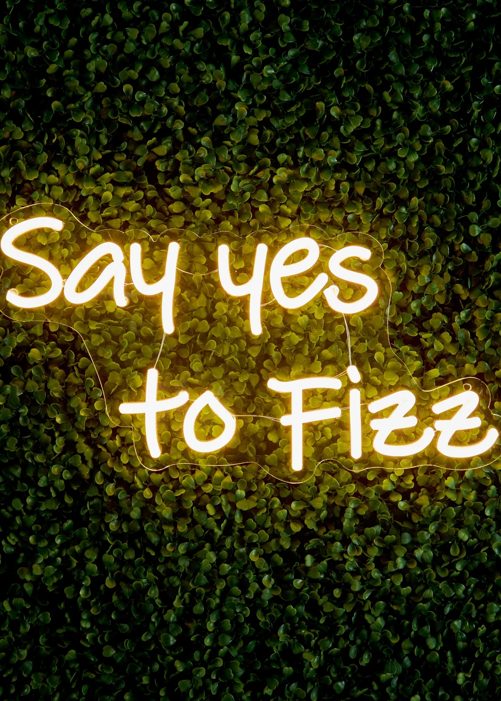 Premier Decorations LED Neon Say Yes to Fizz Wall Sign - One Size Image 1