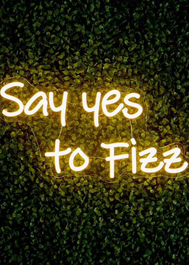 Premier Decorations LED Neon Say Yes to Fizz Wall Sign