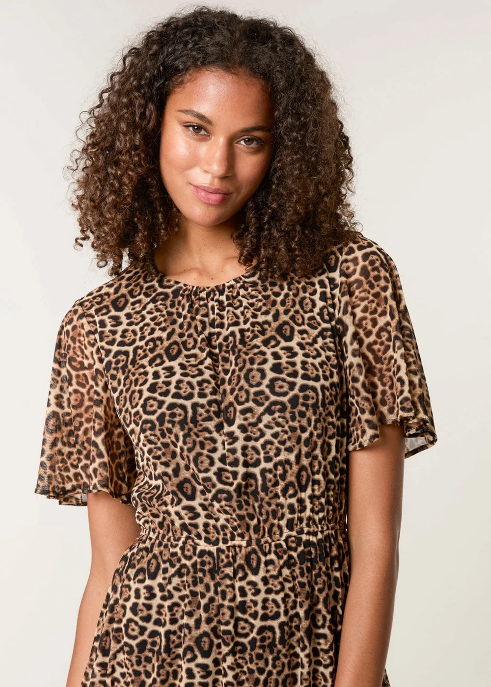 Blue Vanilla Brown Leopard Print Mesh Crew Neck Mini Dress - S Image 3