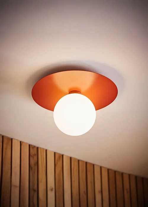 ValueLights Darla Rust Bathroom Ceiling Light with Bulb - One Size Image 1