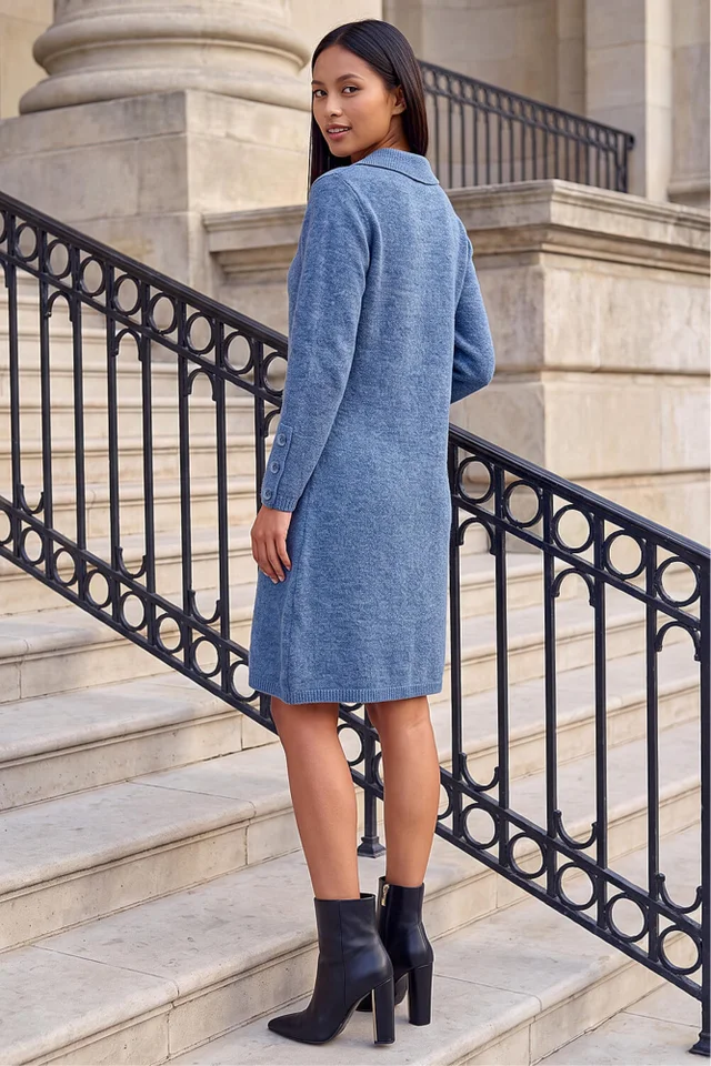 Roman Blue Petite Collared Knit Shift Dress